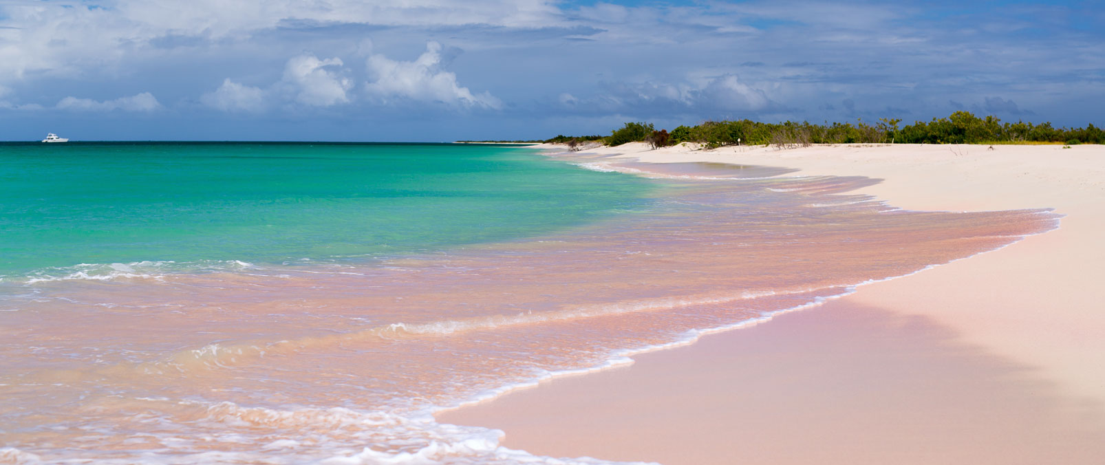 Pink Sand Beach Barbuda Caribbean Islands